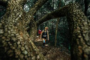 BIB: 
                            <button type="button" onclick="openModal(25703721)" class="btn btn-primary btn-sm float-right btn-popup" data-toggle="modal" data-target=".modal-high-quality">
                        <i class="fas fa-shopping-cart"></i> Add to Cart
                    </button>
                                            <button type="button" onclick="isThisMe(25703721, true)" class="btn btn-success btn-sm float-right btn-popup btn-isme hidden" data-toggle="tooltip" data-placement="bottom" title="นี่คือรูปของคุณใช่ไหม คลิกที่นี่เพื่อเอาเข้าอัลบั้ม">
                        <i class="fas fa-plus"></i> Add to album
                    </button>
                    <button type="button" onclick="isThisMe(25703721, false)" class="btn btn-warning btn-sm float-right btn-popup btn-isnotme hidden">
                        <i class="fas fa-ban"></i> Remove from album
                    </button>